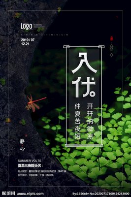 入伏“寻光”