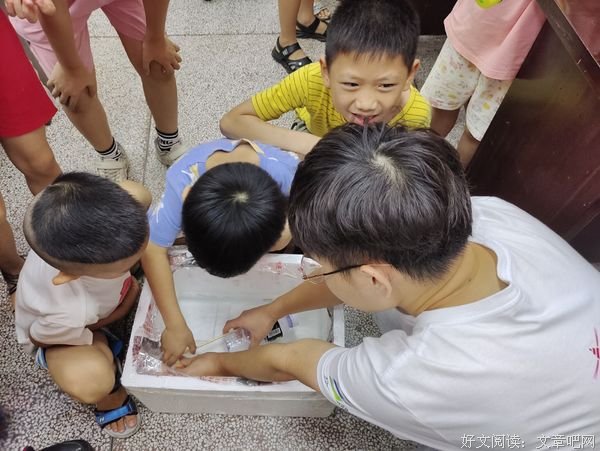 红星启智，薪火相传一一螺旋航母实验