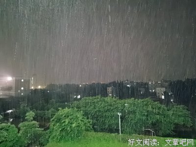 雨夜