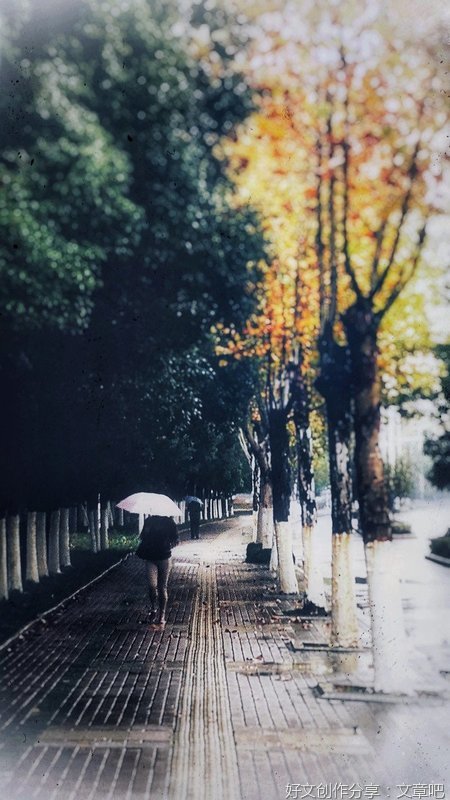 雨天