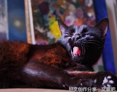 其实 喜欢你10