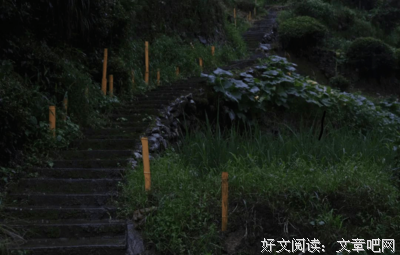“风帆”社会实践队：美术课程进行时