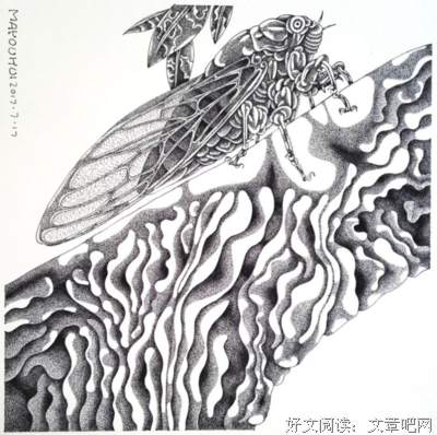 蝉鸣盛夏，曦望同行
