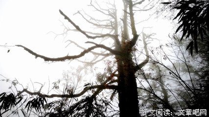 以人之长补己之短