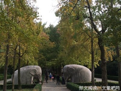 明知识，学道理 ——“红星启智”社会实践队让科普注入红色基因