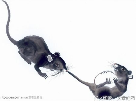 【小说】秃尾巴老鼠