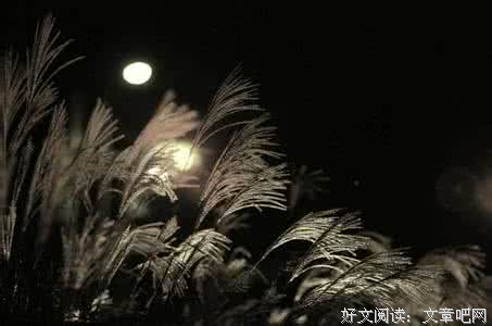 “小旋兜”小传（二）‘小旋兜’的畸恋