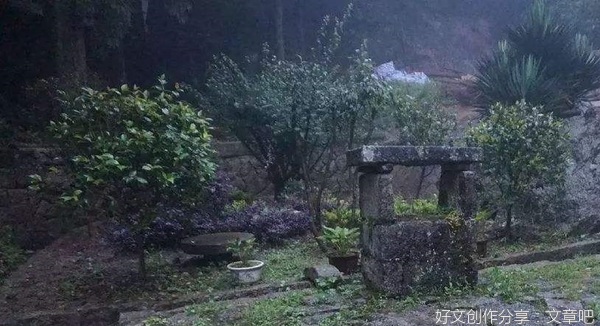 柏子山计划（连载） 第二十二章 “老赵”救外孙暴露身份