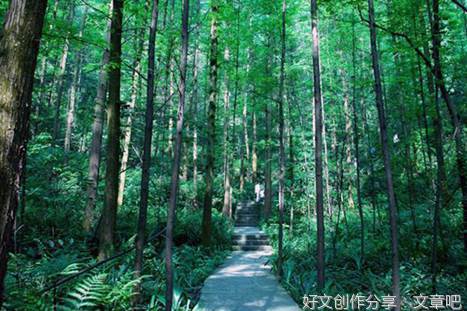柏子山计划（连载） 第二十三章 对质交心，追思老赵  