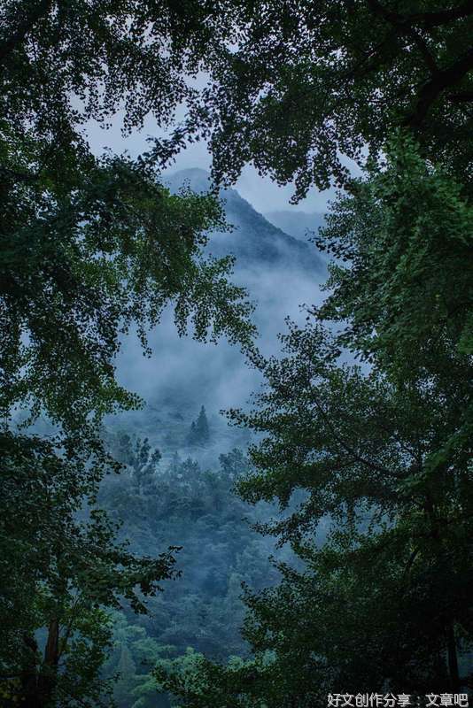 柏子山计划（连载）第二十四章 老赵成了高个特务