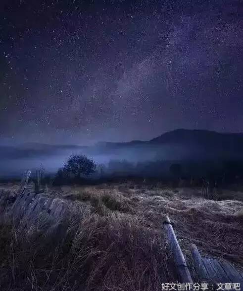 柏子山计划（连载）第三十三章 青花瓷罈子引出两家姻缘