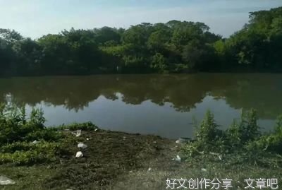 柏子山计划（连载）第九十章 杨庆典偷谢弘