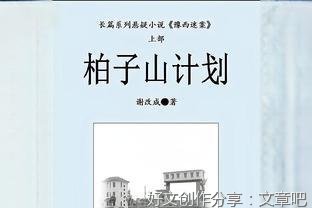 柏子山计划（连载）第六十章 宋名的复杂身世