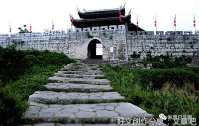 柏子山计划（连载）第八十八章 枝子说真相，陈青岩有隐瞒