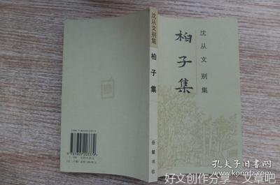 柏子山计划（连载）第九十五章 重启“柏子山计划”