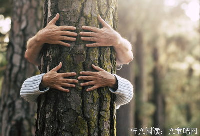  慢工出细活，磨炼方成才