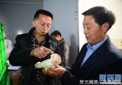 观摩学习，继续向前