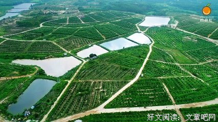 廉江红橙和血橙的区别