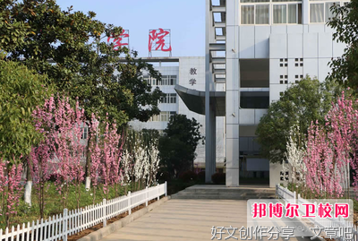 浅析中专卫校实施素质教育的尝试