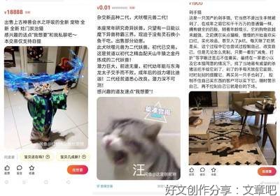 文学，让我看见了爱