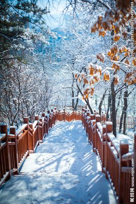 雪中漫步