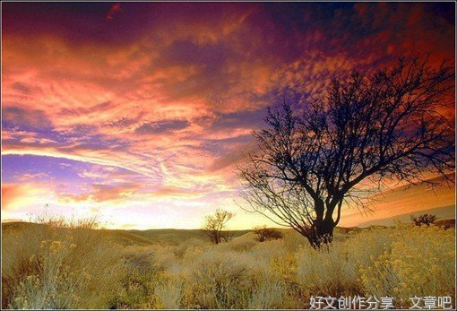 沿途的风景