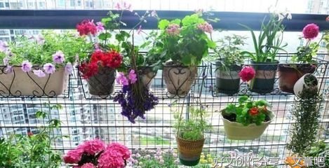 我们仍未知道那朵花的芬芳