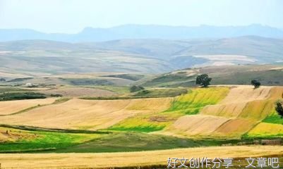 藏在花丛中的心