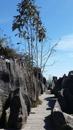 柳暗花明在转身之后