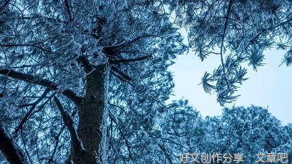 放马坪游记