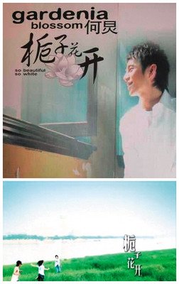 花仍在开