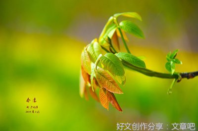 春意