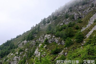 走过风雨