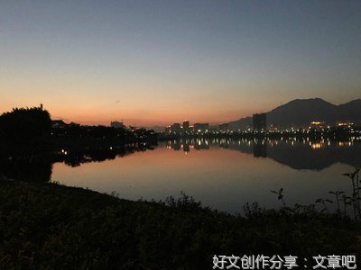 天边飞来一只鸟
