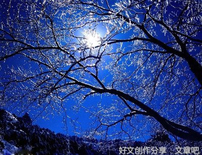 月光也如诗