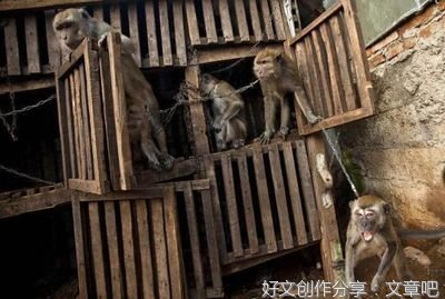 走近了，才知道