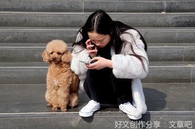 人与宠物