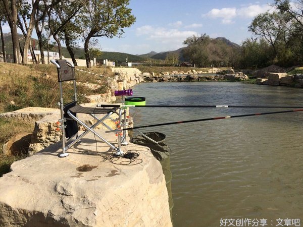 大师的选择