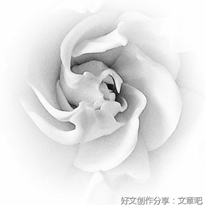 岁月如水