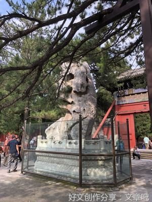 论涵养