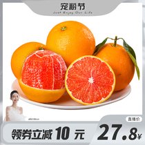 廉江红橙与雪橙的区别