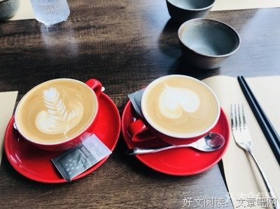 朝槿向前