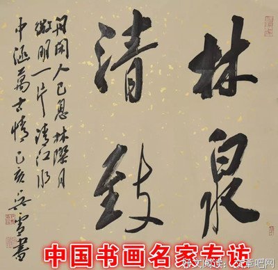 朝槿的魅力