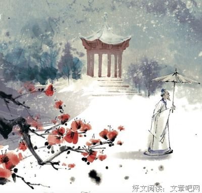朝槿美好的未来