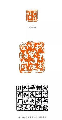 在朝槿的收获