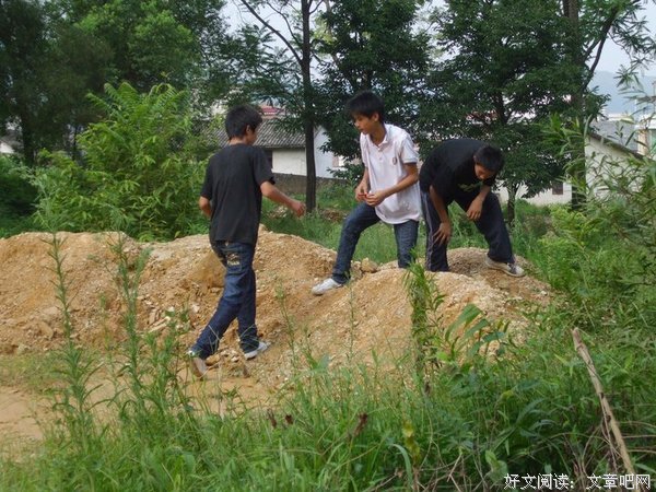 三下乡活动让我获得什么