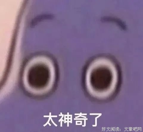 在”朝槿“的日子