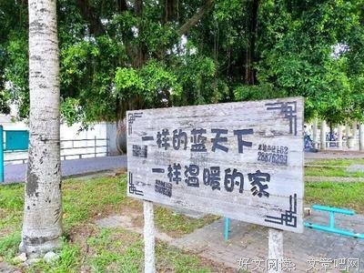 岭师学子三下乡:充实有趣的教学生活