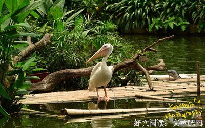 初入基层，扬帆起航 ——“筑梦沂乡”实践团访沂南县朱家林田园综