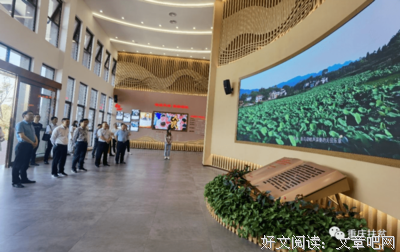 情系乡村，感悟乡村振兴